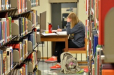 Держзамовлення – інформація з обмеженим доступом!?