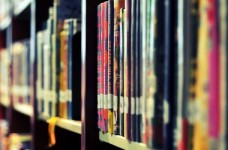 Раби можуть виховувати тільки рабів