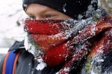 У декількох областях призупинено навчання у школах