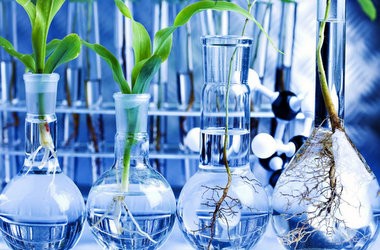 Опубліковані відповіді на тест ЗНО з біології