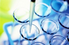 УЦОЯО: Завдання тесту ЗНО з біології відповідають програмі