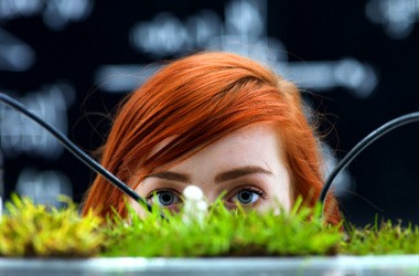 Визначено результати ЗНО з біології