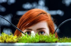 Визначено результати ЗНО з біології