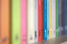 Визначено результати ЗНО зі світової літератури