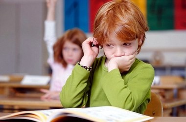 У МОН обговорили перспективи мультилінгвістичної освіти