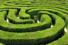 Управлінська дискусія «Лабіринти управління»