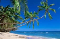 Офшори - минуле, сьогодення, майбутнє