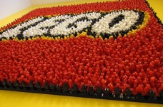 Конструкторы LEGO – гарант развития вашего ребенка