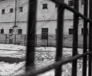 Школяра, що побив учителя на уроці, посадили на два роки