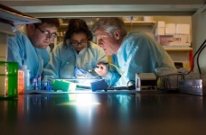 "Горизонт 2020": гранти для науковців