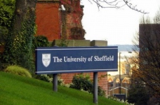 University of Sheffield: престиж й працевлаштування
