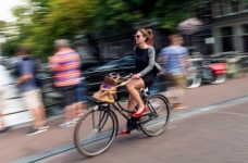 Шість переваг студентського життя в Голландії