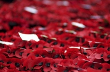 Як у школах відзначать Перемогу над нацизмом