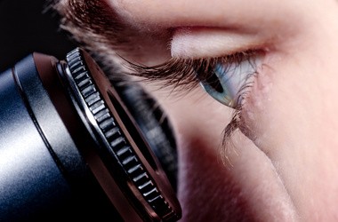 В Україні запрацюють наукові школи для молоді