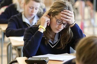 Цього тижня відбудеться ЗНО з біології та історії