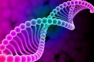 НМТ-2026: як розрахувати бал з біології