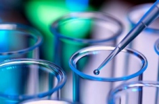 Абітурієнти склали тест ЗНО з біології