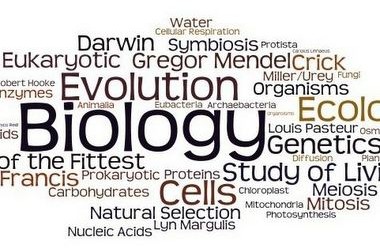Поріг тесту ЗНО з біології склав 24 тестових бала