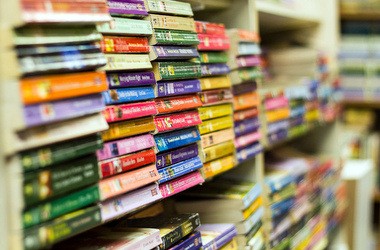 Рада направила зекономлені кошти на підручники