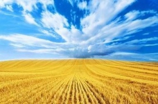 Розмальовка для дітей «Герб та прапор України»