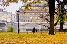 Київ відвідають чеські навчальні заклади