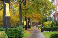 Стипендія від американського Adelphi University