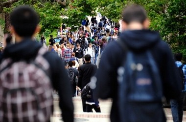 Виші позбавлять обов’язку шукати роботу випускникам