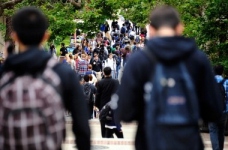 Виші позбавлять обов’язку шукати роботу випускникам