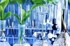 10 червня відбудеться ЗНО з біології