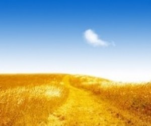 Нова концепція національно-патріотичного виховання