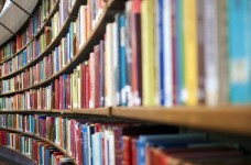 Літературна освіта: занепад і шляхи відродження