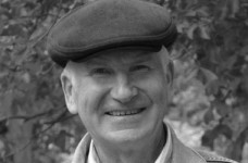 Г. Кравченко: словесна бодяга відносно реформи освіти