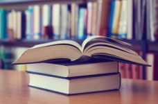 Криза у вивченні літератур: потреба зважених змін