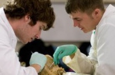 Лікарів замінять студентами, - доручення Тимошенко