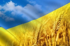 Розпочато тренінг з патріотичного виховання