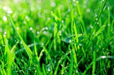 Україна без сміття: освітні програми про збір відходів