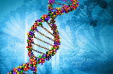 Опубліковані відповіді на тест ЗНО з біології