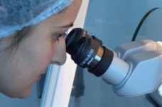 Проблема університетської науки в Україні