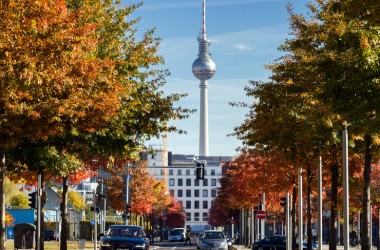 Освіта в Німеччині: що потрібно для вступу до вишу