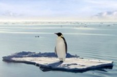 Соціально-психологічний моніторинг