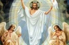 Батьки вимагають додати у підручники теорію про божественне походження світу