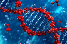 ЗНО з біології: напередодні тестування