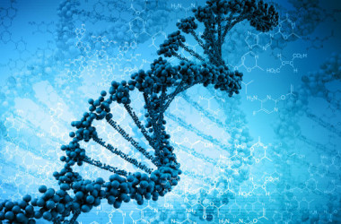 Визначено результати ЗНО з біології