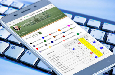 Ukrschools – нова педагогічна панацея