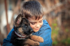 МОН пропонує провести Всеукраїнський урок доброти