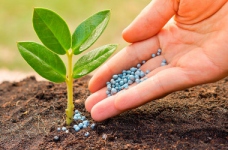 Захист і карантин рослин — спеціальність рівня «бакалавр»