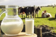 Технологія виробництва і переробки продукції тваринництва — спеціальність рівня «бакалавр»