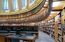 Інформаційна, бібліотечна та архівна справа — спеціальність рівня «бакалавр»