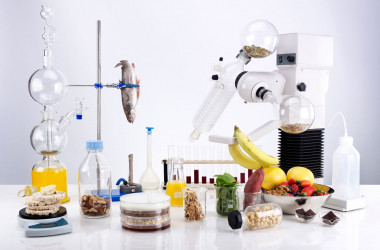 Харчові технології — спеціальність рівня «бакалавр»