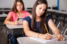 Про формування старшої академічної школи в Україні